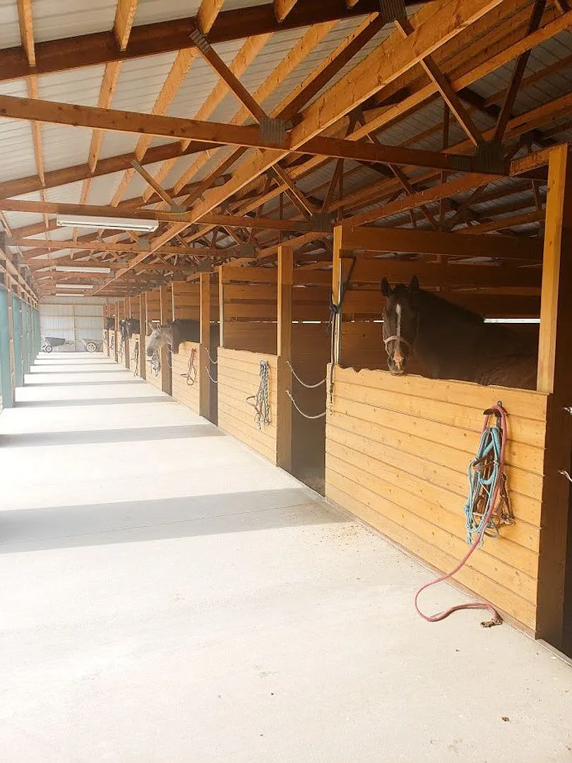 * September to May* Horse and dog friendly, 2 bedroom Barn Apartment — Photo 3