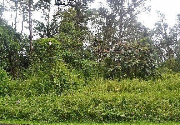 2nd image of Makamae St Lot 16