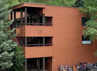 1317 Vine St, Aspen, CO 81611