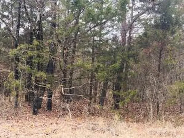 (undisclosed Address), London, AR 72847