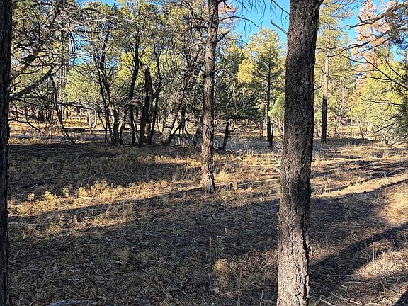 2nd image of 350 N Verbena Ln