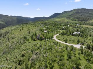 268 Aspen Meadows Rd, Edwards, CO 81632