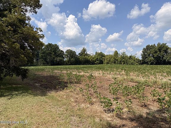3rd image of 685 Snake Road