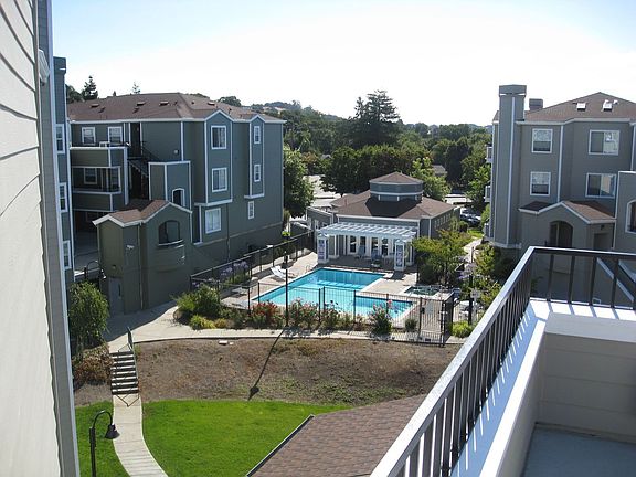 Pool / Yard Area