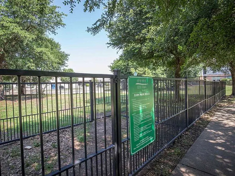 Dog Park