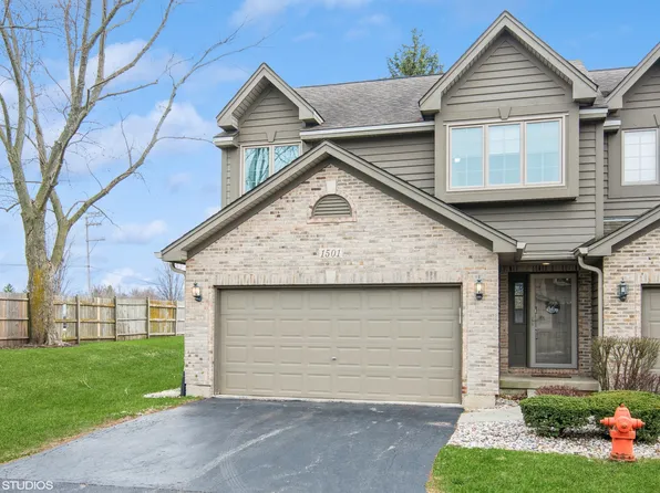 1501 Arbor Ln, Elgin, IL 60123