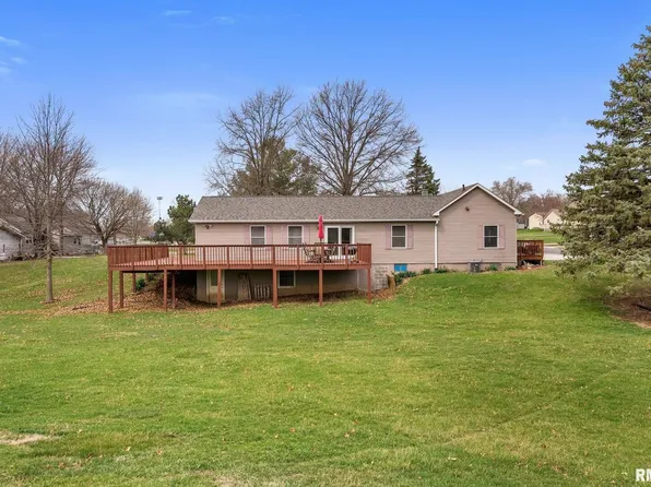 407 1st St, Matherville, IL 61263