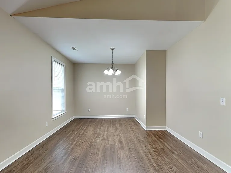 16 Greenbranch Way — Photo 6