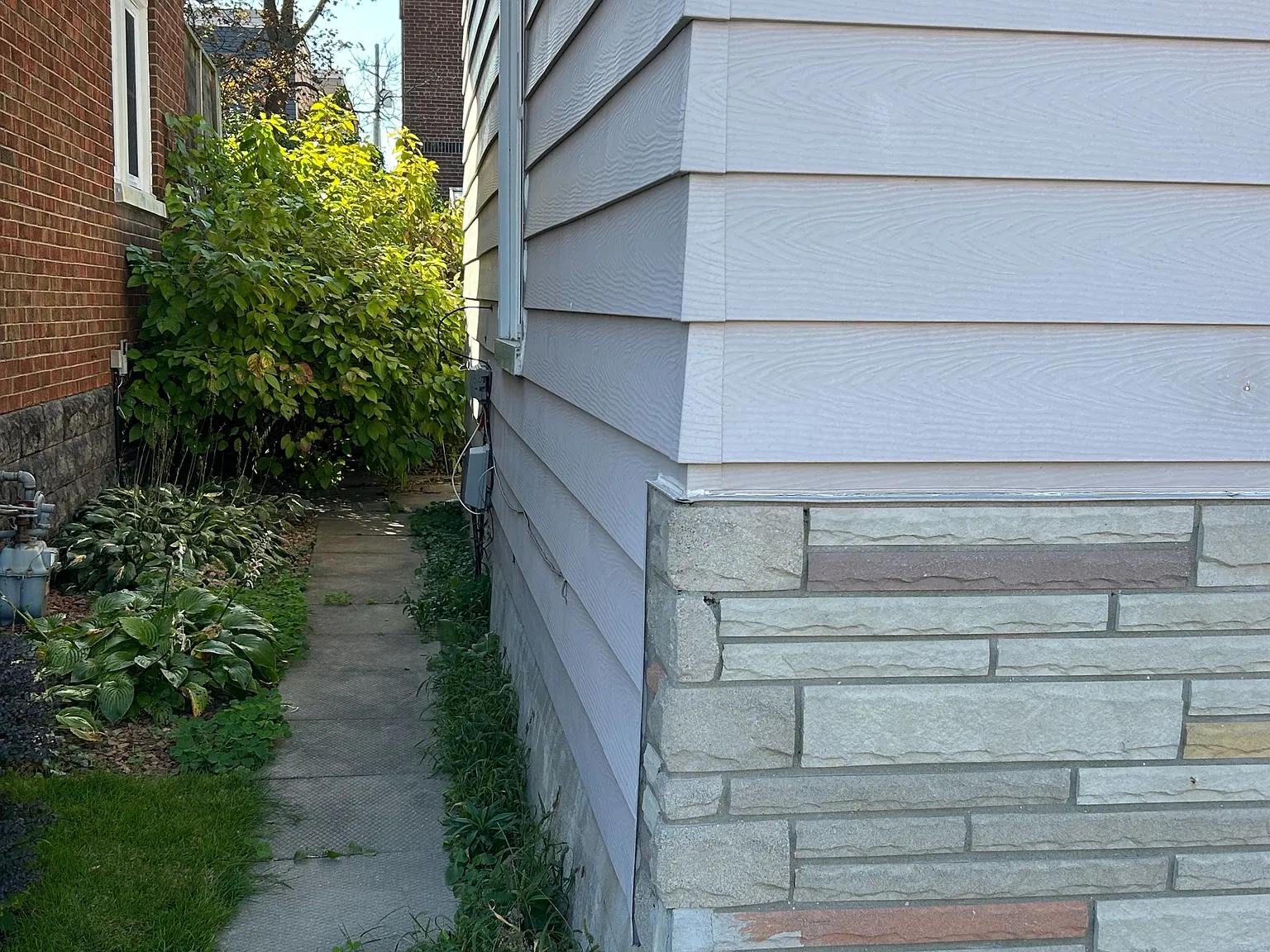 3 bed, $3,000 — Photo 3
