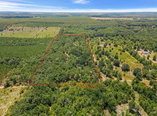 Vacant Ne Cedar Trl, Pinetta, FL 32350