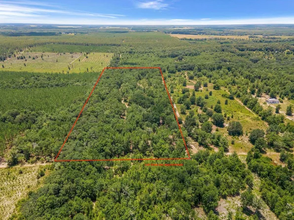 Vacant Ne Cedar Trl, Pinetta, FL 32350