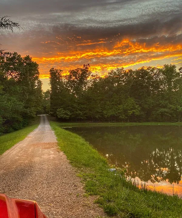 165 Vibrant Way