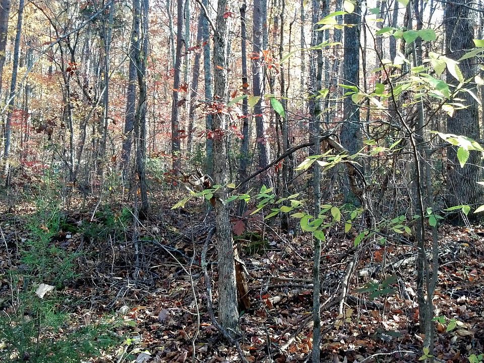 2nd image of Walden Rd