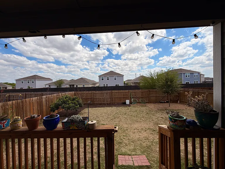 Backyard