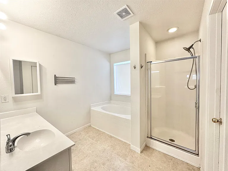 17002 Irish Oaks Ct — Photo 17