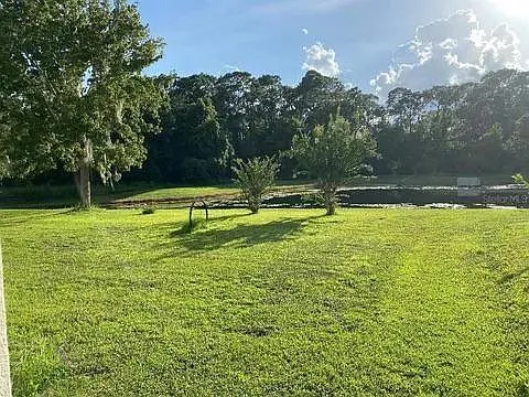 9143 Pecky Cypress Way Photo 1