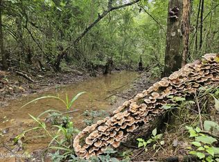 State Highway 35, Mount Olive, MS 39119