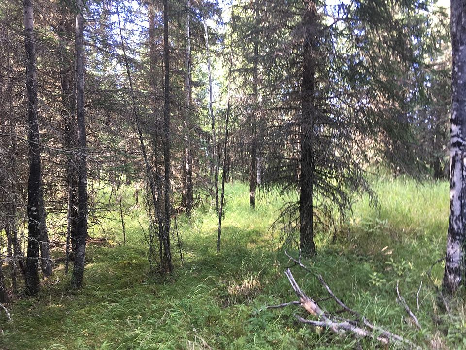 2nd image of 28891 Cohoe Loop Rd