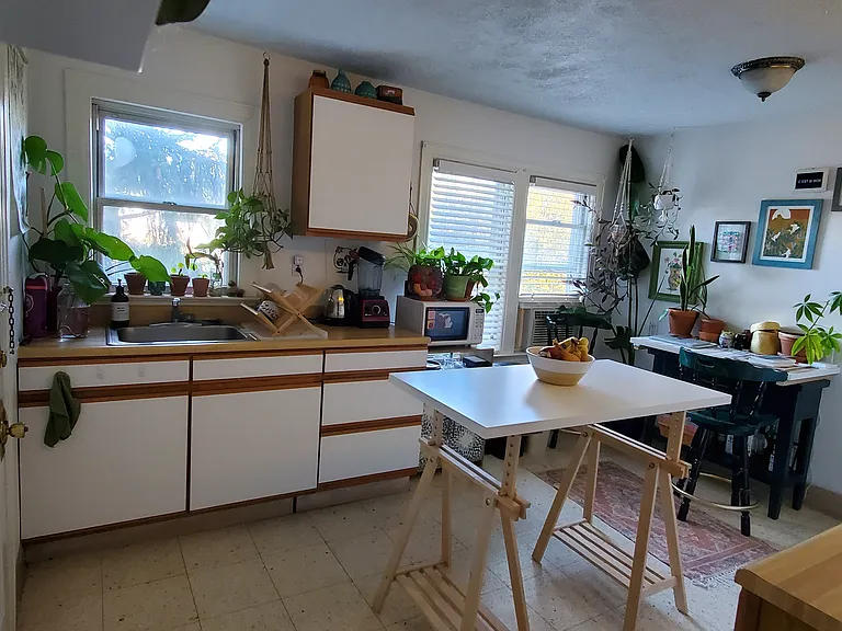 403 Pauline Blvd #2 — Photo 5