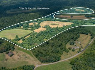 3003A Tea Run Rd, Ewing, KY 41039