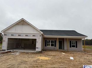 278 Lexyryan Ct, Latta, SC 29565