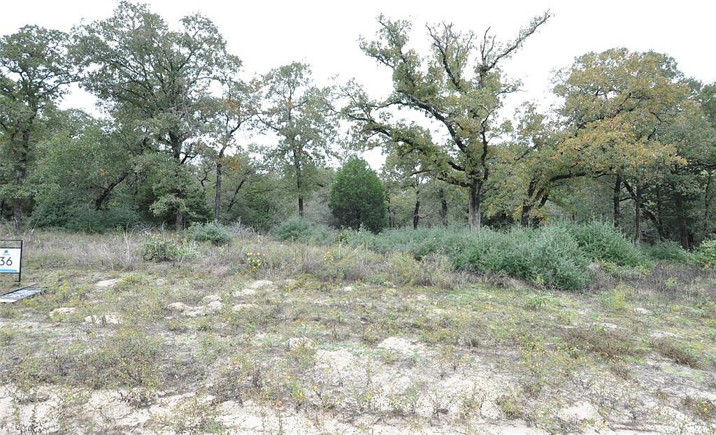 Oakview Ln, Thrall, TX 76578 MLS 2398389 Zillow