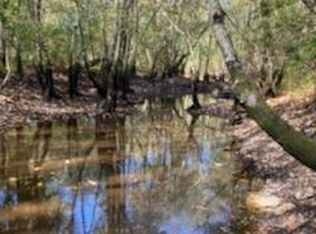 0 Rebecca Waterloo Hwy, Rebecca, GA 31783