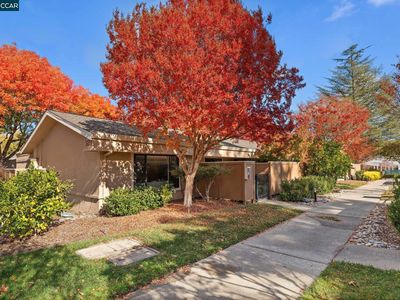 1108 Oakmont Dr APT 4, Walnut Creek, CA, 94595