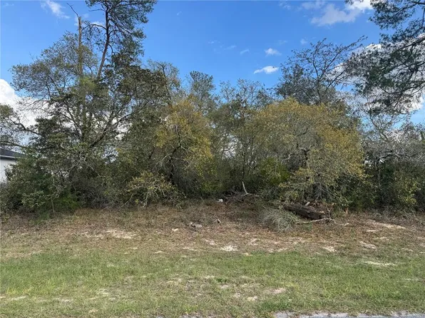 Marion Oaks Golf Rd Lot 14, Ocala, FL 34473