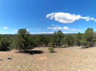 462 Redtail Trl, Texas Creek, CO