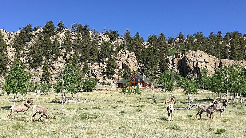 Looking N. from drive.