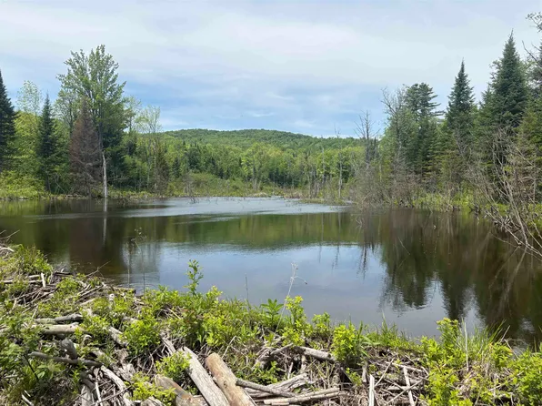 0 Old Pond Hill Road, Lunenburg, VT 05906