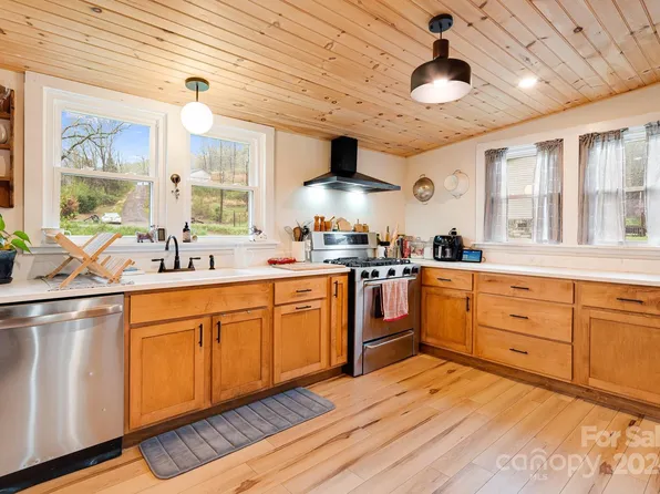 99 Cook Rd, Hot Springs, NC 28743
