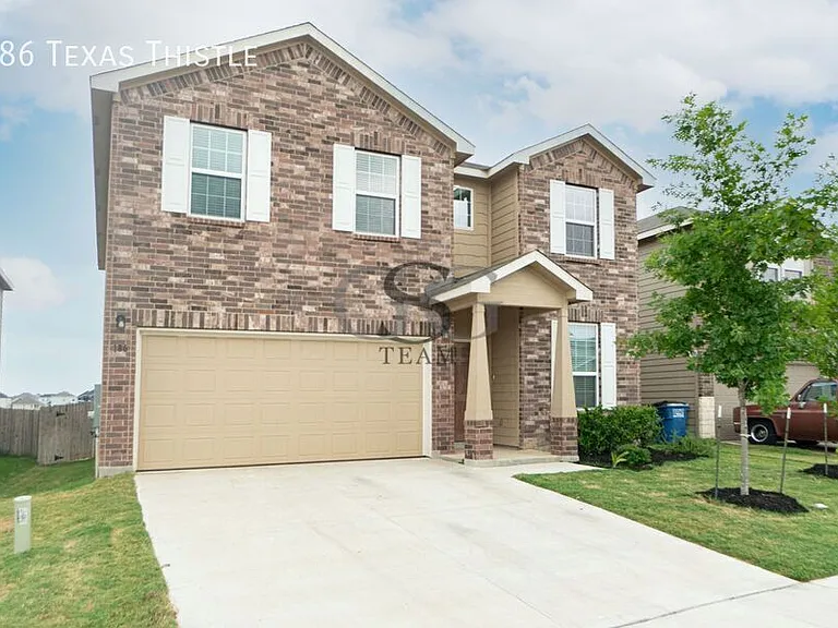186 Texas Thistle — Photo 3