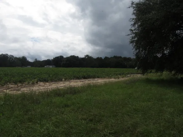 5369 Old U South Rd, Malone, FL 32445