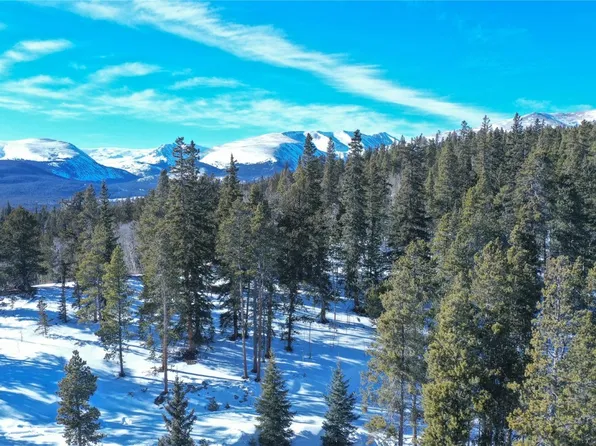 169 Arctic Cat Ln, Fairplay, CO 80440