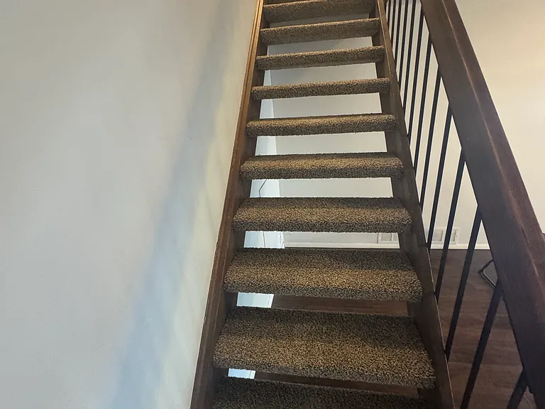 Stairs, with new carpet.
