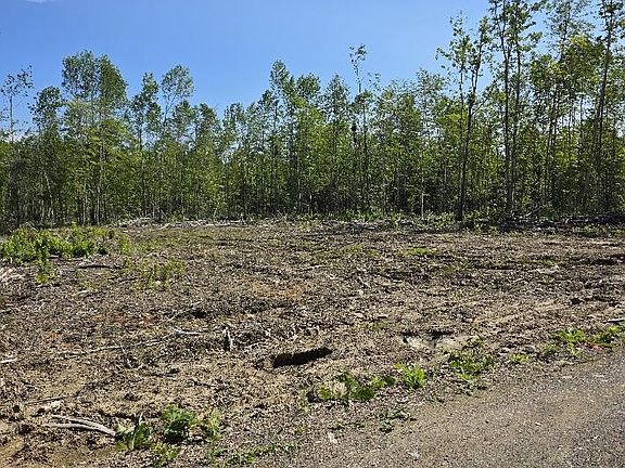 2nd image of lot 27 Williams Road