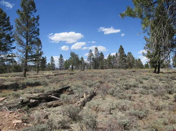 809 Schofield Trail, Powderhorn, CO 81243