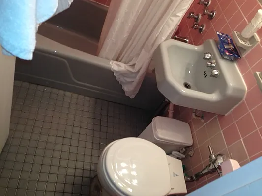 Rented by Eric Goodman Realty Corp | media 13