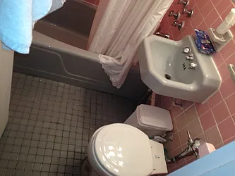 Rented by Eric Goodman Realty Corp