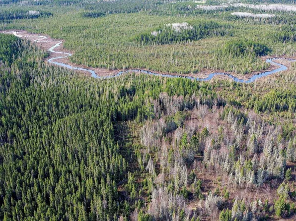 Xxx Kelly Trl, Isabella, MN 55607