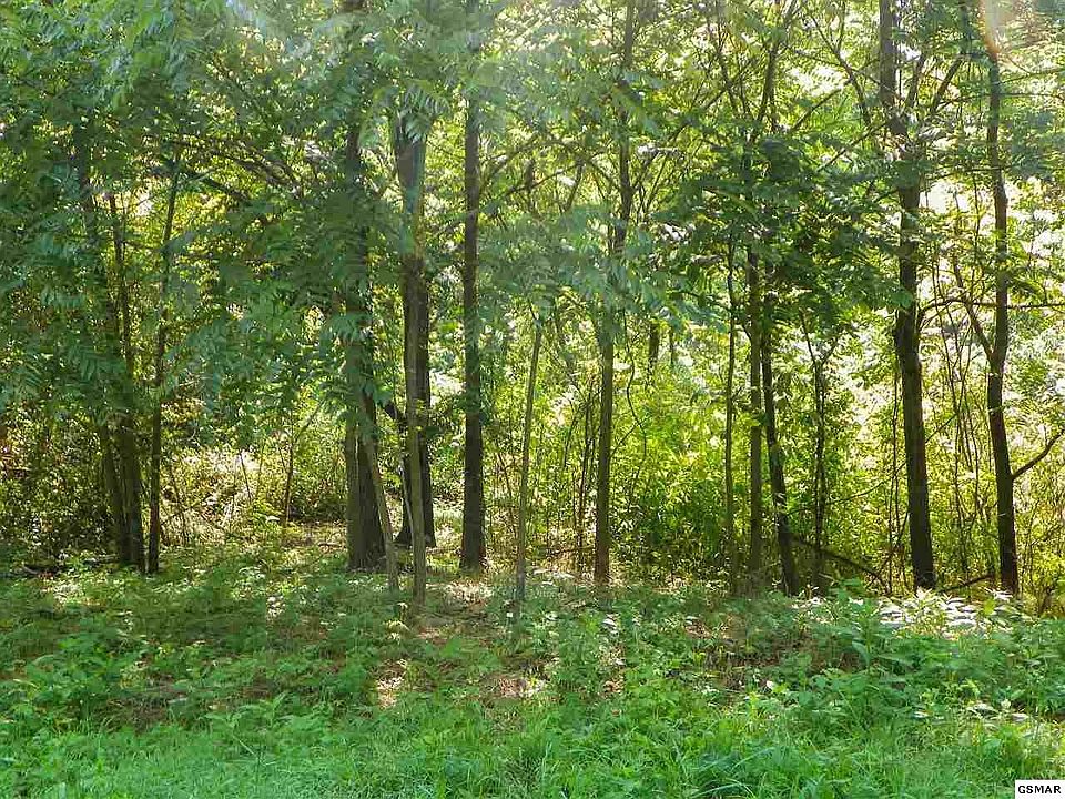 1st image of 501 Acre Tract Bogard Rd