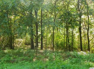 501 Acre Tract Bogard Rd, Cosby, TN 37722
