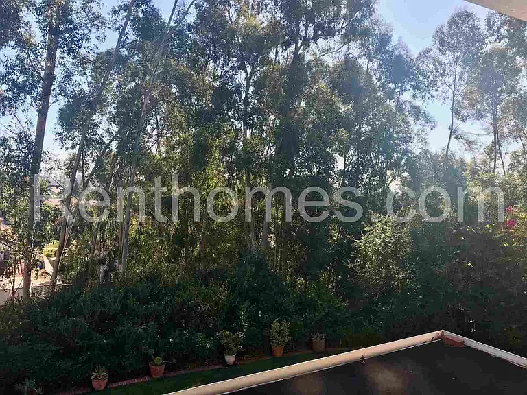 11245 Forestview Ln — Photo 12