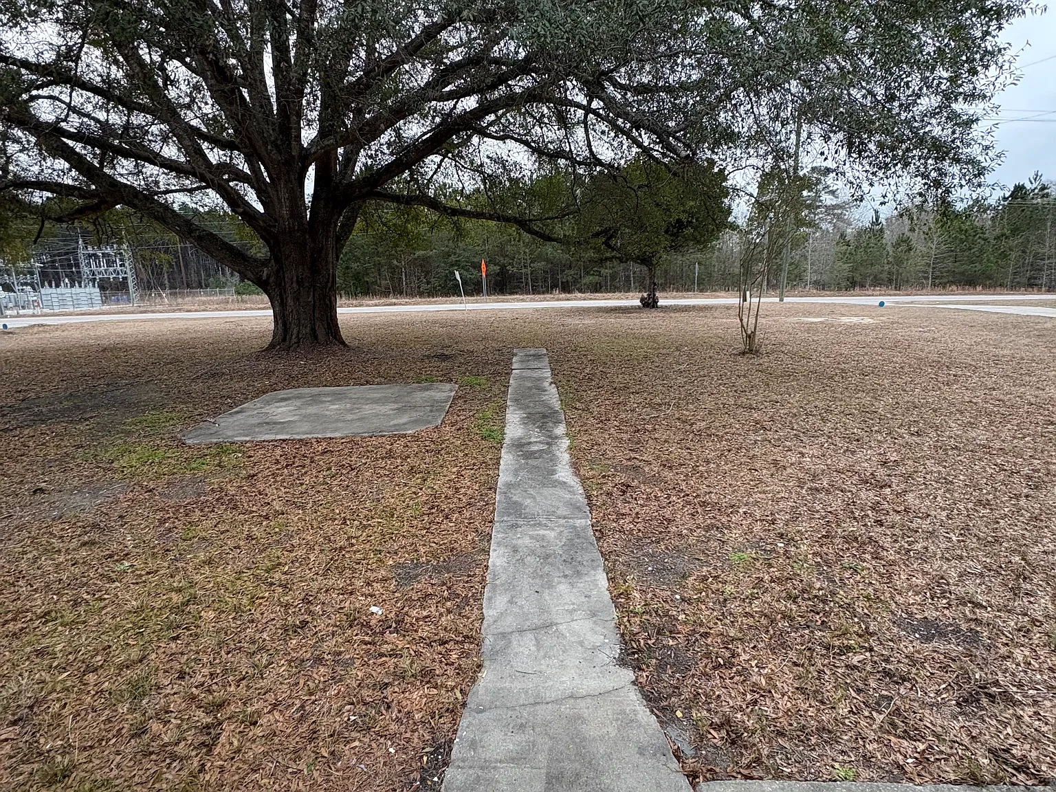 3 bed, $1,595 — Photo 4