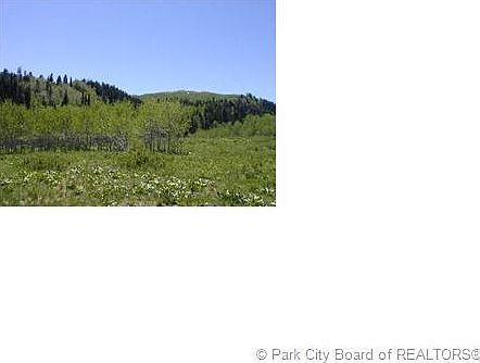 2nd image of 1138 Beaver Cir