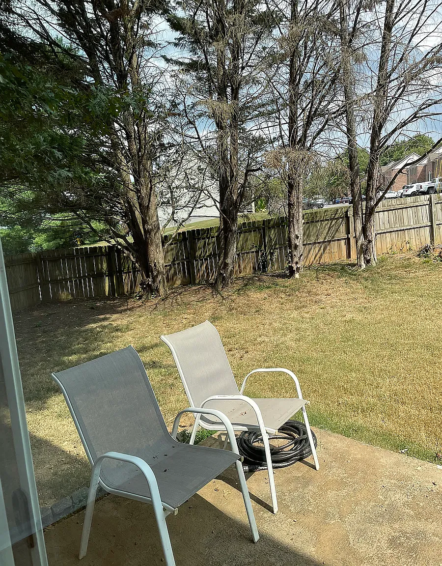 3 bed, 1248 sqft, $1,950 — Photo 3