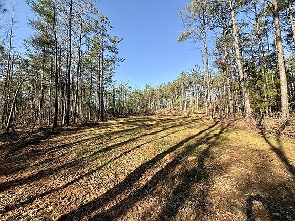 4th image of County Road 500