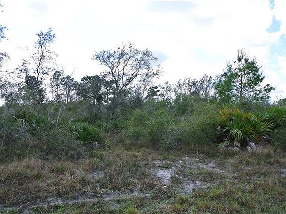 2nd image of 32101 Creek Trl